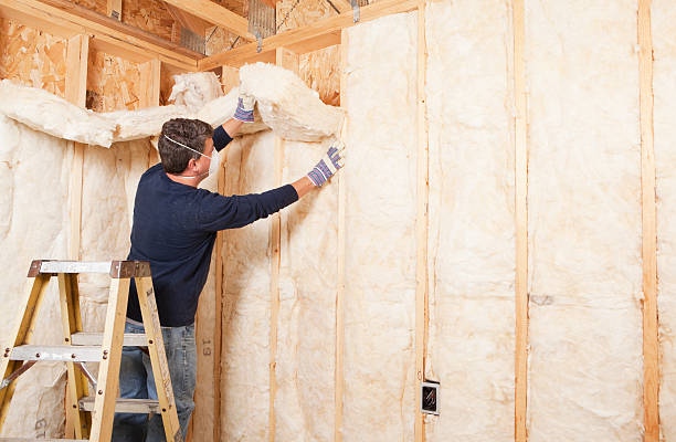 Eco-Friendly Insulation Solutions in Ossian, IN