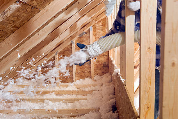 Best Attic Insulation Installation  in Ossian, IN